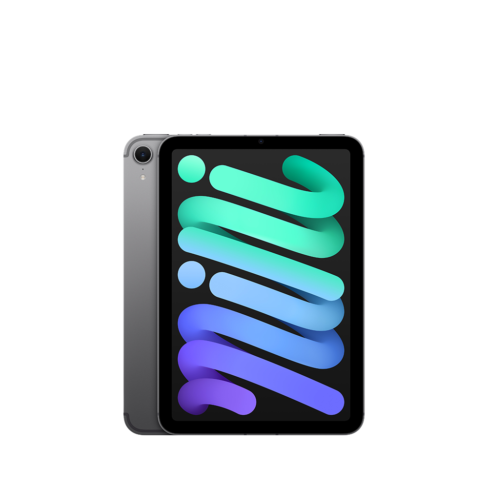 iPad本体 Apple iPad mini (A17 Pro) 256GB Wi-Fi iPad mini (A17 Pro)