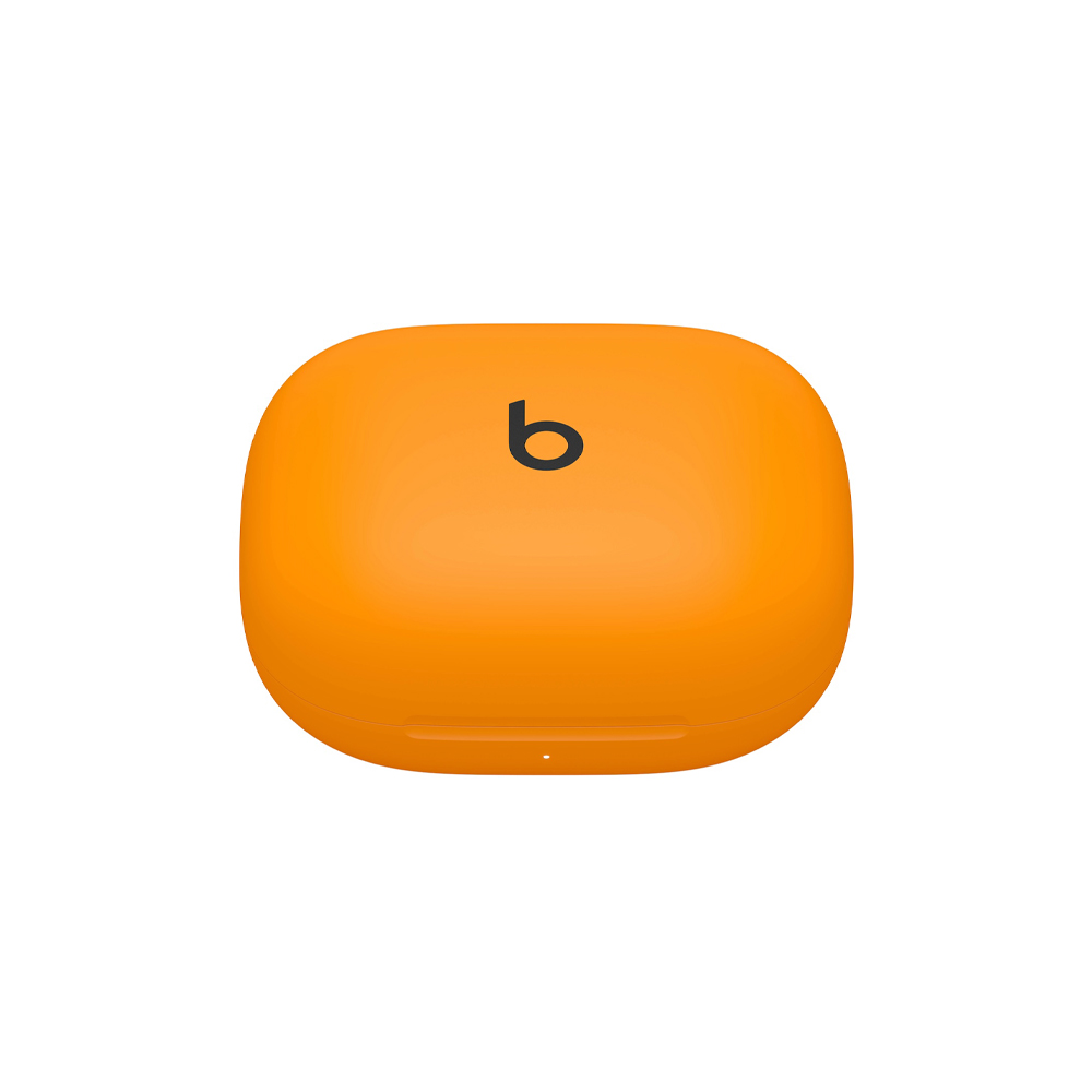 Beats Powerbeats Pro 2-High Performance Earbuds