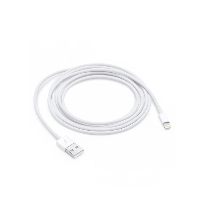 Apple Lightning to USB Cable (2m)