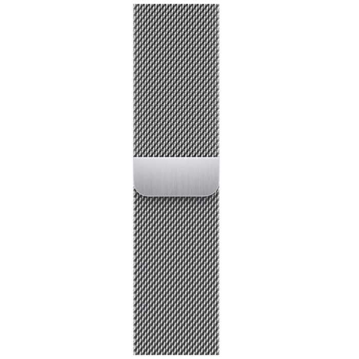 Apple Milanese Loop - Silver