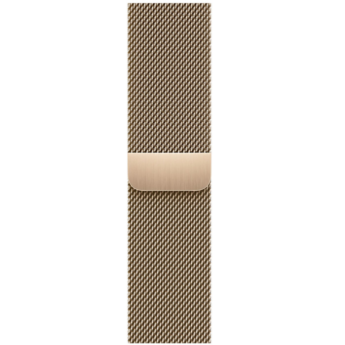 Apple Milanese Loop - Gold