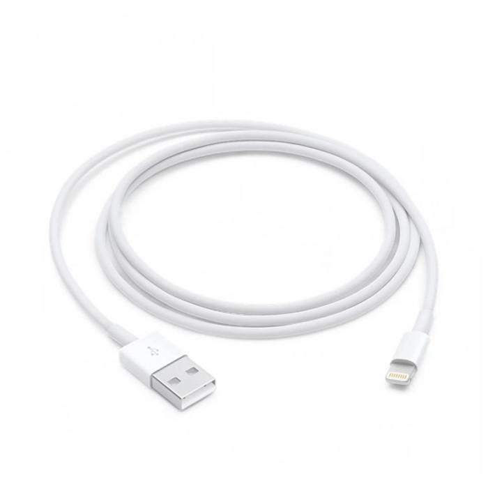 Apple Lightning to USB Cable (0.5m)