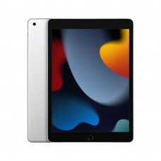 New iPad (9th gen)