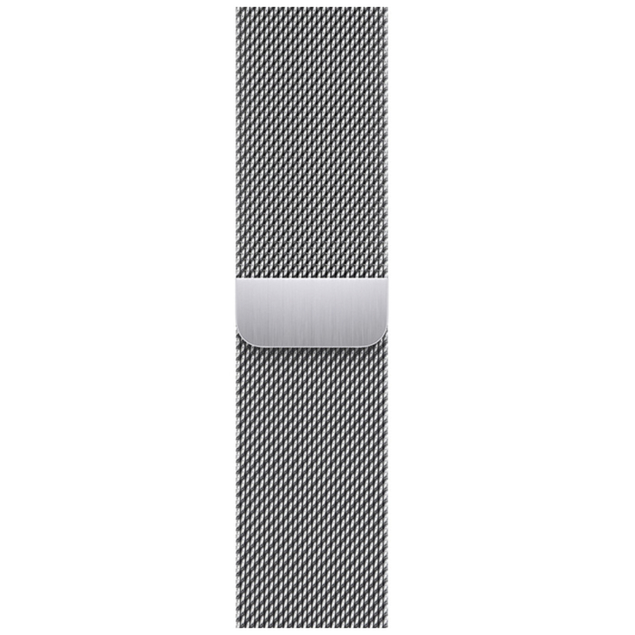 Apple Milanese Loop - Silver